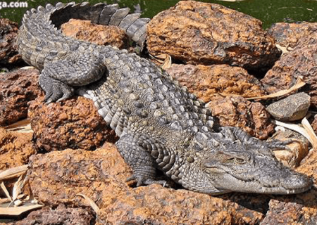 نباید خاک تهران با خاک جنوب کشور تفاوت داشته باشد