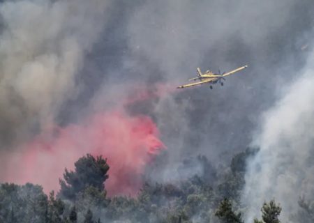 به صدا در آمدن آژیر خطر در سرزمین های اشغالی