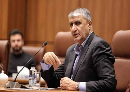 ۲بازرس آژانس با مجوز دبیرخانه شورای عالی امنیت ملی به ایران سفر کردند