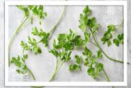 ۶ گیاه و ادویه ای که منبع پنهان ویتامین C هستند