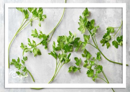 ۶ گیاه و ادویه ای که منبع پنهان ویتامین C هستند