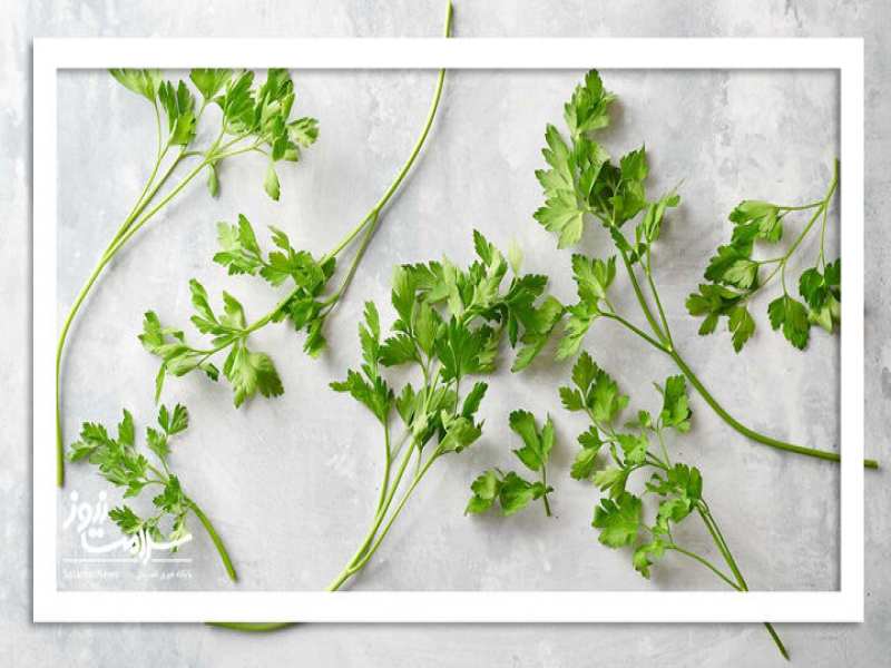 ۶ گیاه و ادویه ای که منبع پنهان ویتامین C هستند
