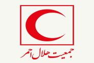 پیگیری وضعیت خلبانان ایرانی از طریق کمیته بین‌المللی صلیب سرخ