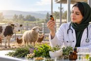 توسعه فرآورده‌های گیاهی برای کاهش مصرف غیرضروری آنتی‌بیوتیک در دامپزشکی